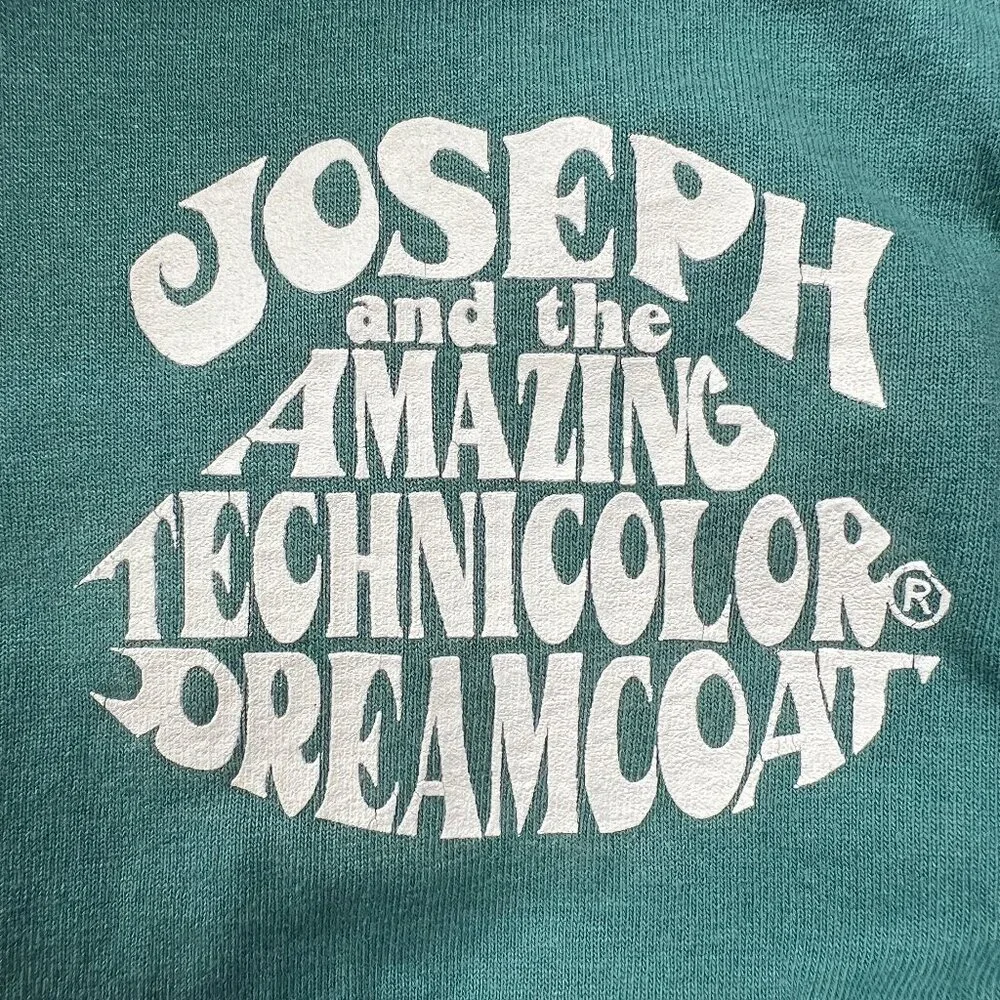 Vintage 90s Single Stitch Graphic Tee Musical Theater Short Sleeve T-Shirt 90's - Picture 7 of 10